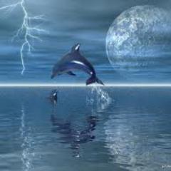 VIACRUCISVIACRU's profile picture. 