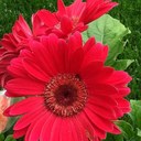 janet hung - @janetmeilai - Twitter