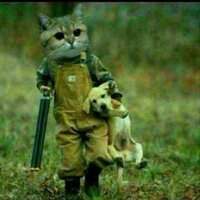 Dave (@vk4uc) 's Twitter Profile