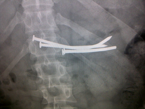 Dan_o_mite_1's profile picture. 