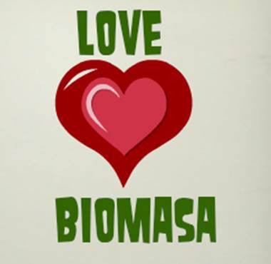 Love Biomasa es una plataforma digital que va a revolucionar la forma de encontrar soluciones de ahorro para tu negocio