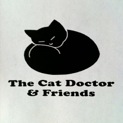 cat doctor and friends