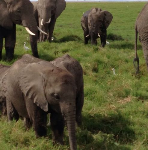 sakayan0629's profile picture. 君の存在価値は、『納税だよ』。