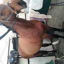 Erasmo rodriguez - @ErasmoG00493673 - Twitter