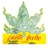 plantamadre's profile image