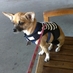 will chen (@tanweehoo) Twitter profile photo will chen (@tanweehoo) Twitter profile photo