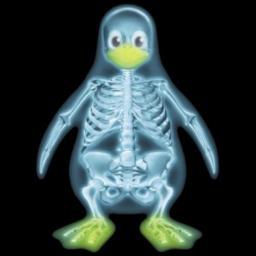 xraytech2's profile picture. X-ray tech: a profession where rolling fatties means something entirely different...