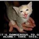 Cara Henderson - @boanderey - Twitter