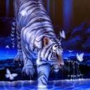 leah - @leah1234cool - Twitter