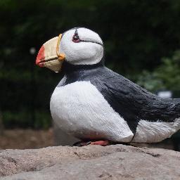 s13ahmed's profile picture. 