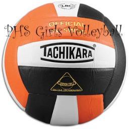 Palmyra High School Girls Volleyball Team