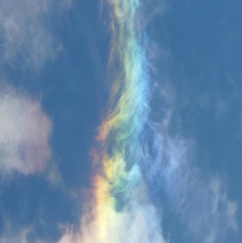 quotesof_wisdom's profile picture. 