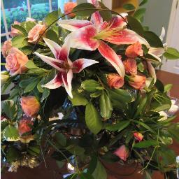 InnovativeDandE's profile picture. Customizable event and design services.