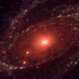 Black holes are where God divided by zero.
