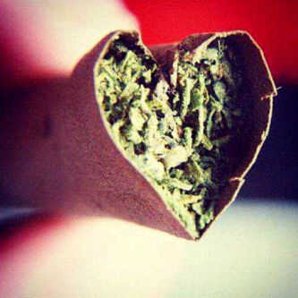 MuLaTjie's profile picture. Fighting fOr the legalizatiOn Of Marijuana. Full time Rastafarian. I'm weird,but yOu dying tO get high with me #TeamLegalize #stonerlove #stonerchick #stayhigh