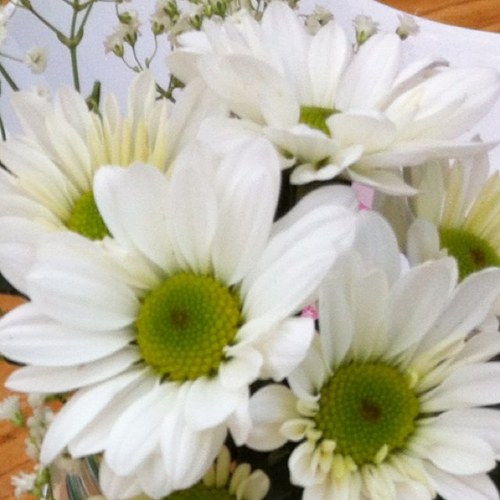 clau_barcelona's profile picture. 📍Bcn ❤️ Vzla Soñando con una #VenezuelaLibre