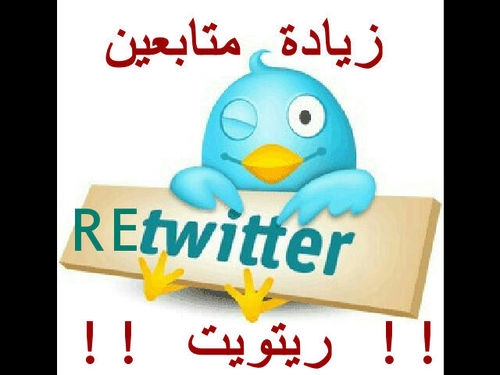 الحساب هذا يهتم فيه أكثر من شخص #لزيادة_المتابعين و#الريتويت و#الفولو_بآك