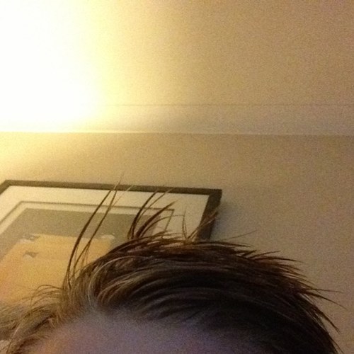 zammyugt's profile picture. 