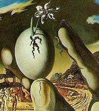 Rafael Stern Profile