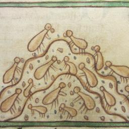 Conservator specialising in medieval manuscripts and burnt parchment. Often working on digitisation projects.
