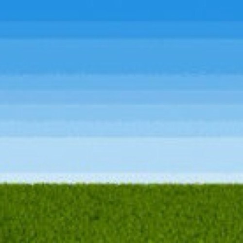 Rkckwnkwnc's profile picture. 