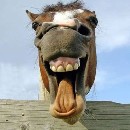 Wenaaa
----Mandame algo y lo publico----
Confeciones, Consejos, Etc...