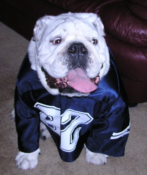 Follow Pudge for the latest social media updates, online video news, and funny commercials!  Also, don't forget to check out the Pudge pic of the day!