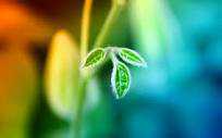 Live your life to the F U L L E S T| with no regrets |#GOD |#TeamFollowBack| LEARN from MISTAKES