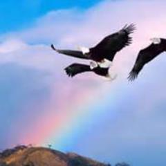 To share our freedom to empower others to realize who they are and the limitless possibilities within you right now!