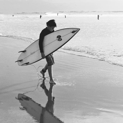 AnselmettiFili's profile picture. 