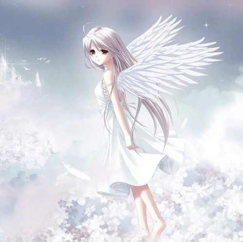Hello! Im an angel from heaven , iv been sent down here to see how things are on earth , my duty is to make sure each being is safe from evil #RP #single