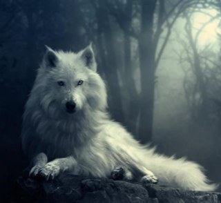 crochethook2013's profile picture. 