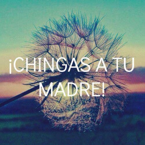 Yo era la mas cabrona de las cabronas,Hasta Que Me Enamore. 

@iEnamorateDeMi @iQueridaTuitera
Folow Back (: