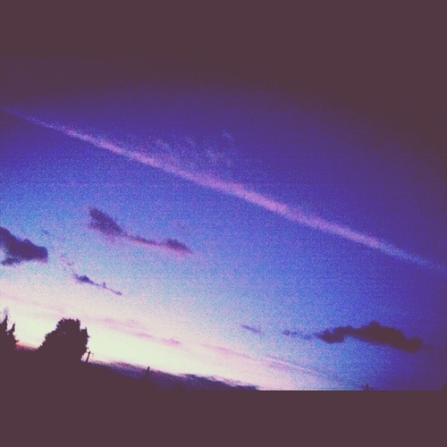 chi6tter's profile picture. 音楽や珈琲、お茶がすき。

写真も時々。