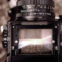 Camera! (@camera) 's Twitter Profile