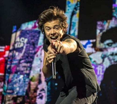 NiallsTinnies's profile picture. 