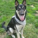 Devon Curry - @curry_devon1 - Twitter