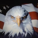 Bob Gardiner - @bobgardiner46 - Twitter