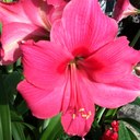 Holly G - @StPaulHollyG - Twitter