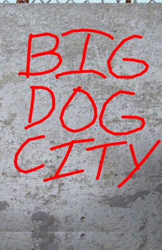 BDC415's profile picture. 