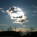 Anthony McCain - @GunsMcCain - Twitter