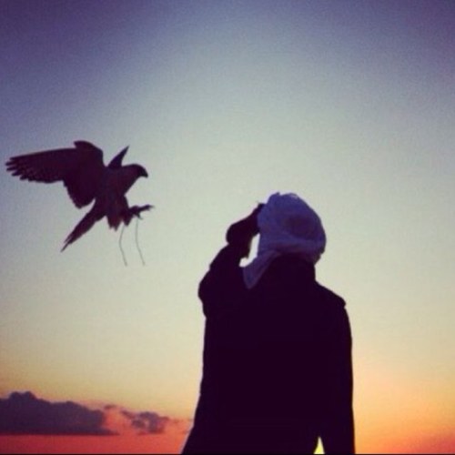 وصية محب: دع ما تندم عليه،،