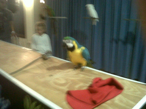 Jonathan15636's profile picture. 