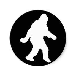 SecurityYeti's profile picture. Tall tales of the security industry from a Boston, MA software sales team.