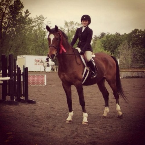 bripeds1115's profile picture. 