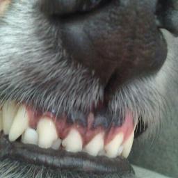 ELENAOZ1's profile picture. 