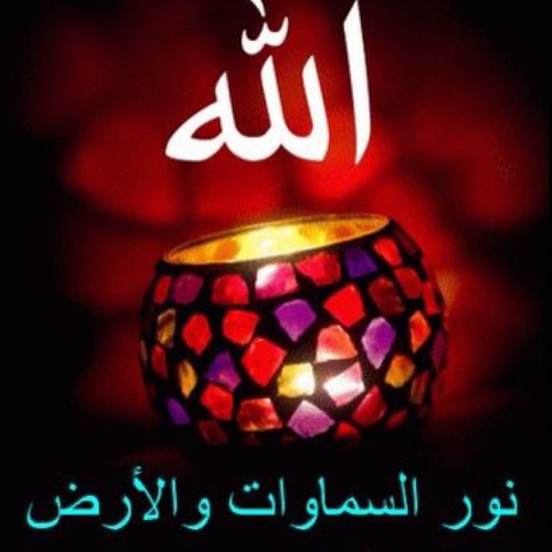 shmok3344's profile picture. 