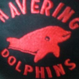 HDolphins's profile picture. 