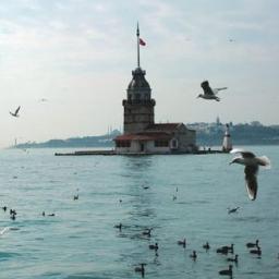 Dilgekarasu's profile picture. Hayır Tabi ki Oradan Bakınca Olduğumdan Daha Fazlası Görünüyorum Ama Her İnsanın Görünmeyen Bir Yanı Vardır Değil mi ?