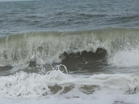 ckat20's profile picture. I enjoy midnight walks,  reading Science Fiction, and old mysteries.